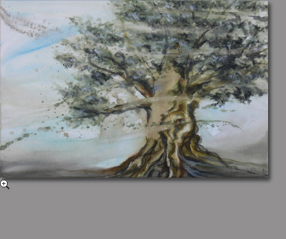 Kraftbilder Britta Ernst, Olivenbaum | Öl auf Leinwand | 60 x 40 cm